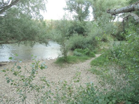 Playa en el río Duero