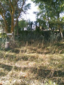 Entorno de la Fuente del Gato