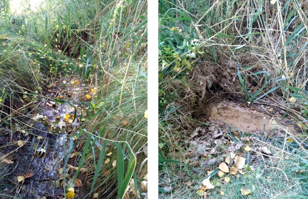 fuente-el-gato-2def copiar