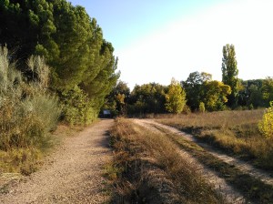Paraje donde se sitúan el desagüe de la Acequia y la Fuente de Pedro Gómez