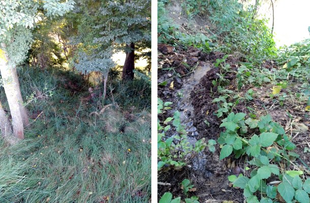 fuente-pedro-gomez-3def