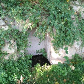 Fuentes y manantiales en Laguna de Duero (parte&nbsp;II)