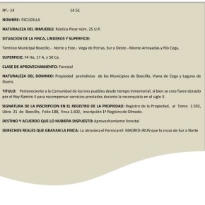 Del reino Visigodo a los&nbsp;árabes