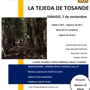 Excursión de senderismo a la Tejeda de&nbsp;Tosande