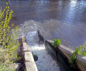 Laguna depura sus aguas, no sus responsabilidades