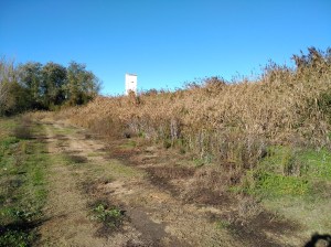 Zona cercana al rio Duero de la Fuente Buena
