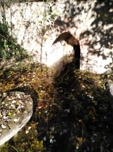 Salida de agua de la fuente