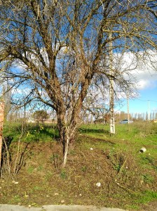 Lugar de la Fuente de la Teja