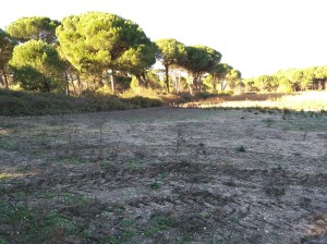 Fuente de Solafuente 2