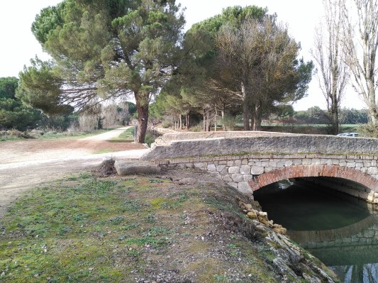 Puente del camino de La Cistérniga a Herrera