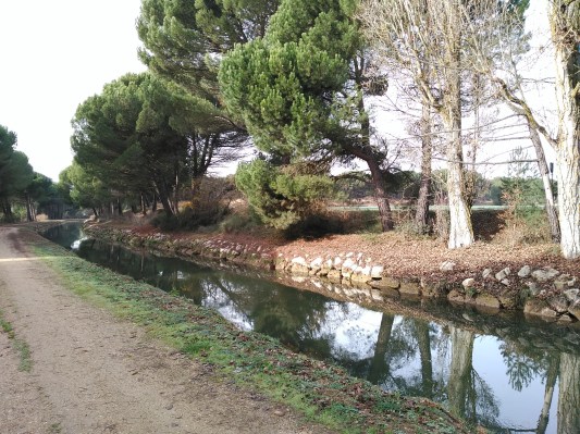 Tierras de labor en el Término de Taragudo, detrás de La Corala.