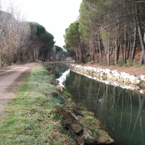 Un paseo por el Canal del&nbsp;Duero