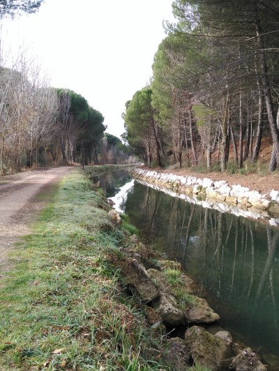 Recta hasta el puente del camino de La Cistérniga a Boecillo.