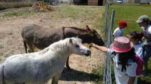 Fiesta del Guisante en Huertos Ecológicos El Maniego