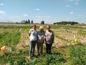 Fiesta del Guisante en Huertos Ecológicos El Maniego