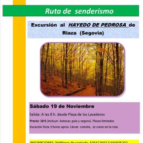 Excursión al hayedo de Pedrosa de Riaza&nbsp;(Segovia)