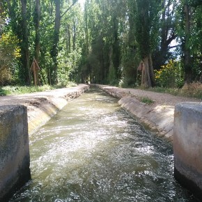 La acequia de Laguna de Duero: naturaleza y ocio&nbsp;unidos