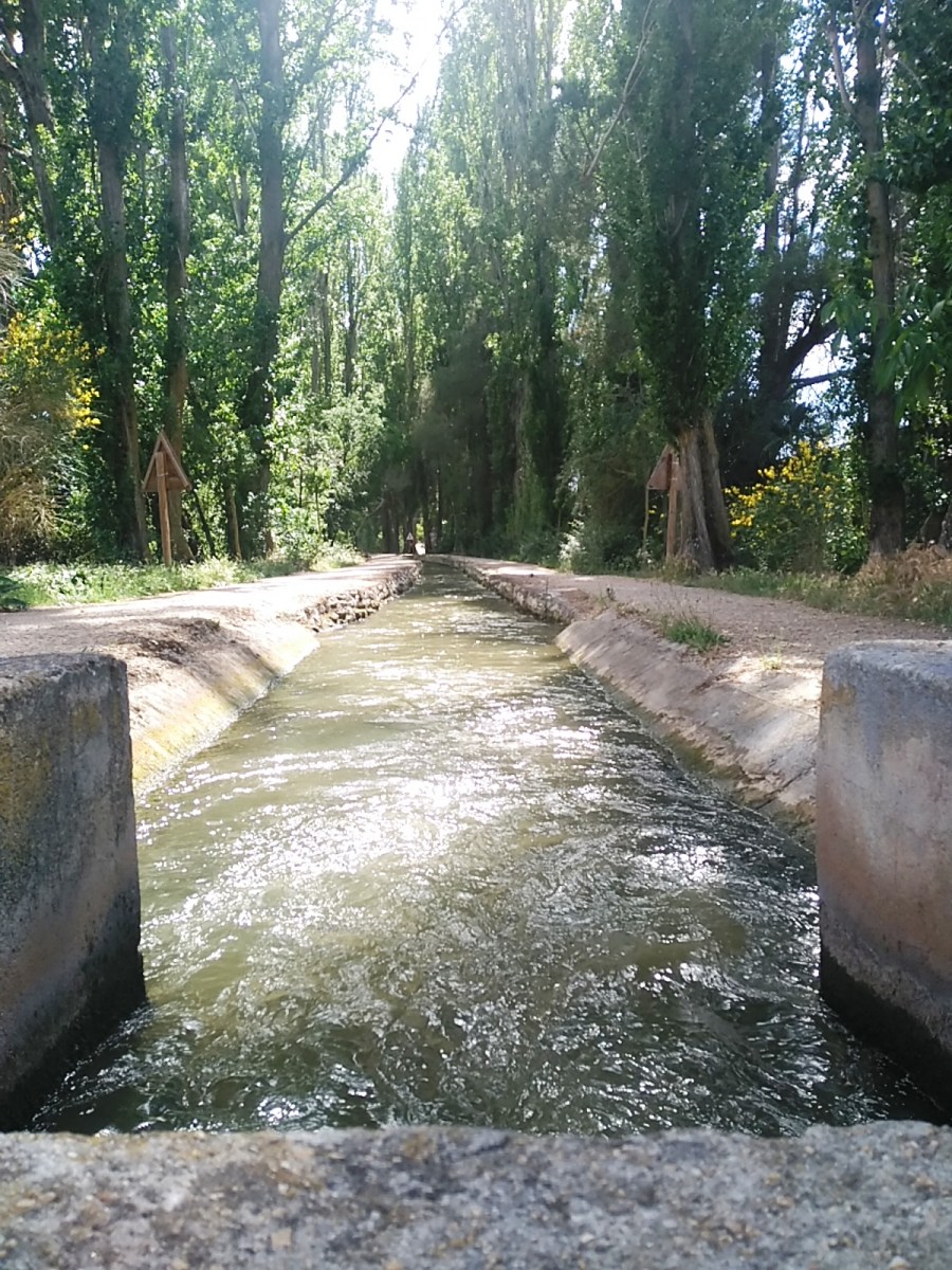 la-acequia-de-laguna-de-duero-naturaleza-y-ocio-unidos-la-fragua-de