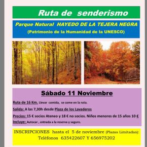 Excursión de senderismo al Hayedo de la Tejera&nbsp;Negra