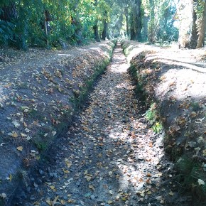 La acequia de Laguna de Duero: naturaleza y ocio unidos&nbsp;(II)