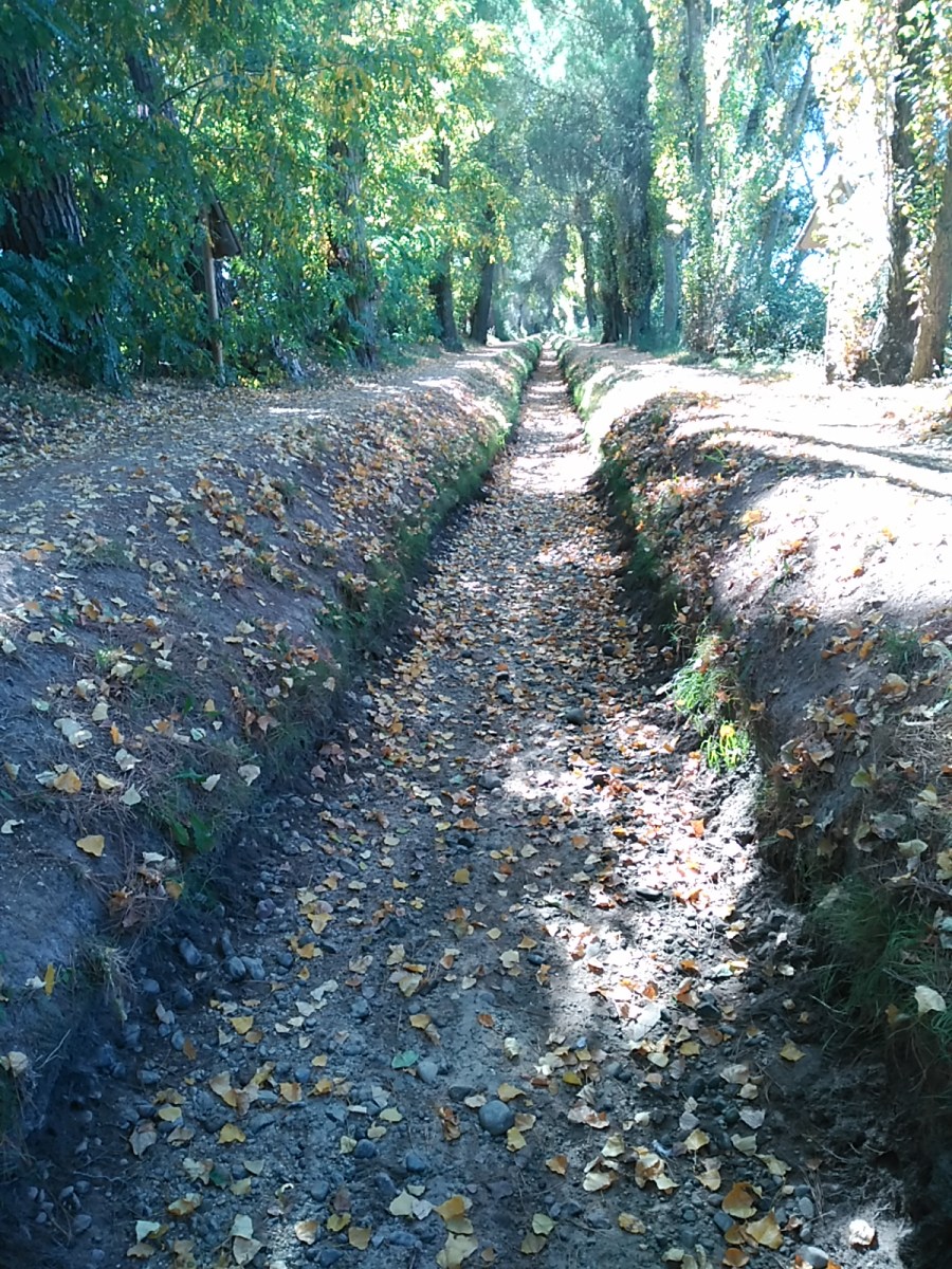 la-acequia-de-laguna-de-duero-naturaleza-y-ocio-unidos-ii-la