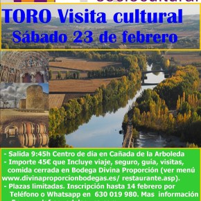 Jornada de Enoturismo en Toro&nbsp;(Zamora)