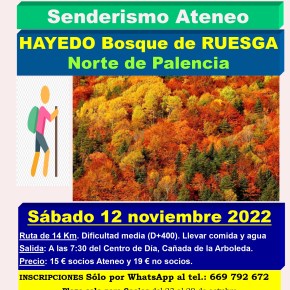 Excursión al Hayedo del bosque de Ruesga (Palencia) el 12 de noviembre de&nbsp;2022